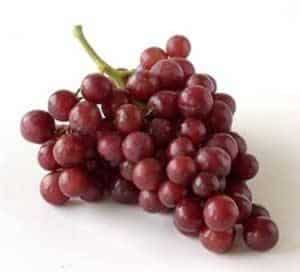 microcircolazione uva rossa