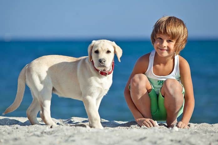 i cani in spiaggia fanno bene ai bambini
