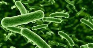 feci dure rimedi della nonna